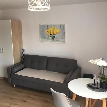 Luxor Проживание в семье